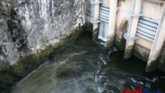 Buceo Profesional