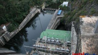 Buceo Profesional