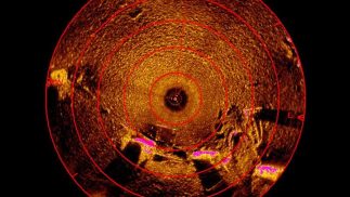 Servicios de Inspección R.O.V.