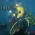 Professional Diving