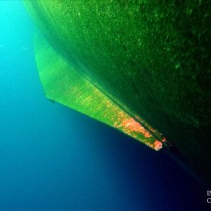 Underwater inspection