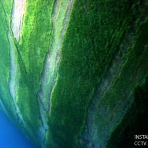 Underwater inspection