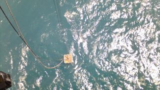 Trabajos en Plataforma la Gaviota