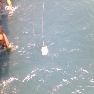 Trabajos en Plataforma la Gaviota