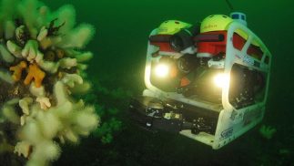 Servicios de Inspección R.O.V.