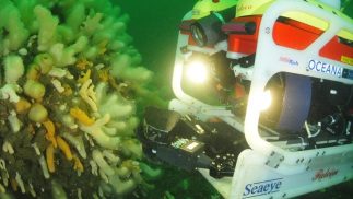 Servicios de Inspección R.O.V.