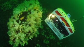 Servicios de Inspección R.O.V.