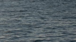 Servicios de Inspección R.O.V.