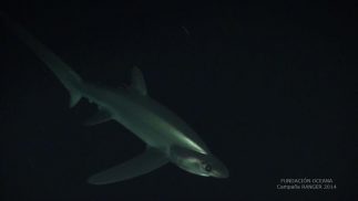 Servicios de Inspección R.O.V.