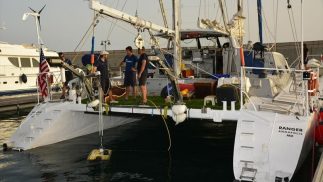 Servicios de Inspección R.O.V.