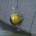 Professional Diving
