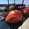 REFLOTE BARCOS PORT FORUM